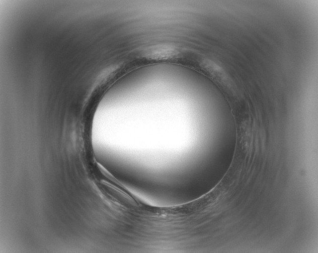 X0000067000400200603271345