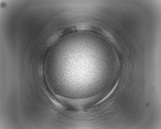 X0000067000401200603271345