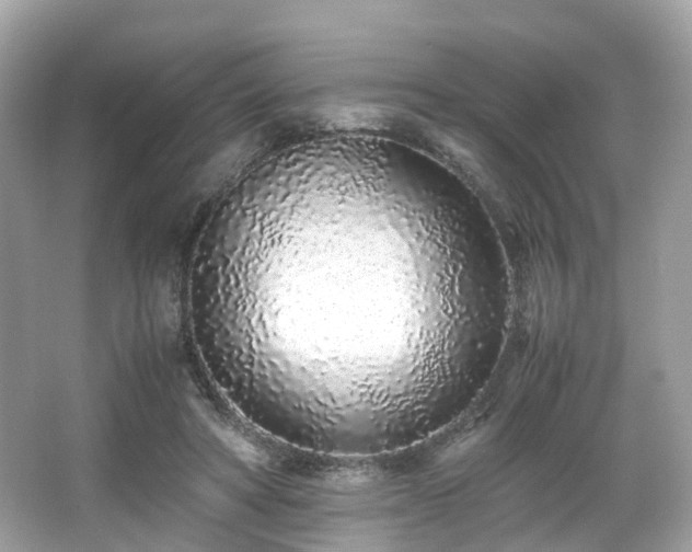 X0000067000402200603271345