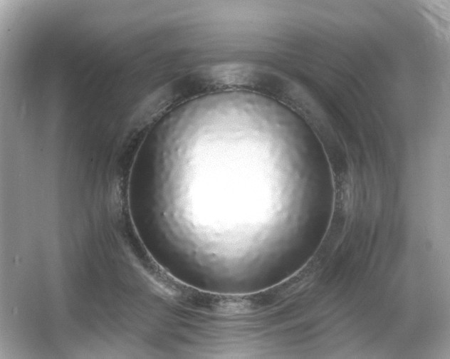 X0000067000410200603271345