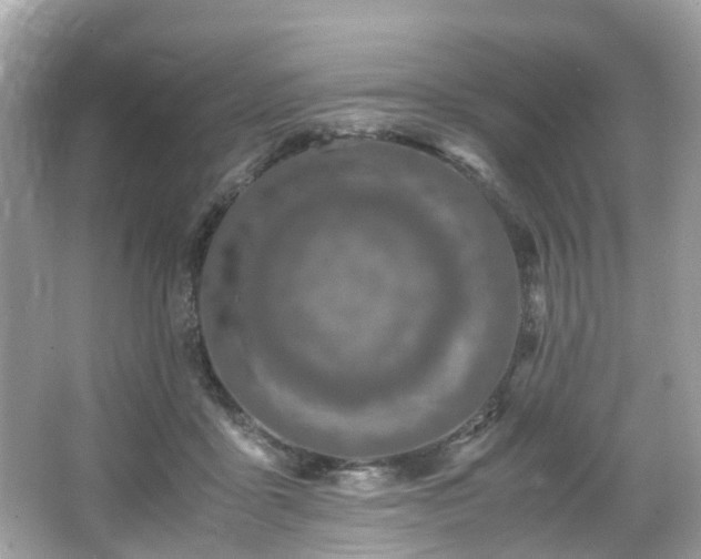 X0000067000411200603271345