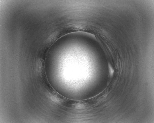 X0000067000412200603271345