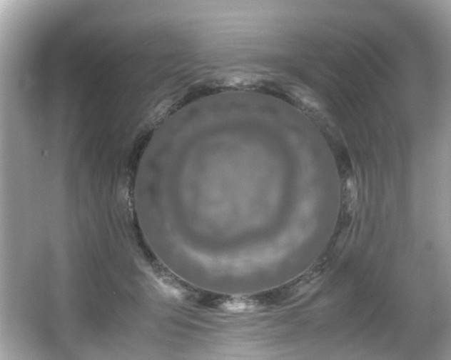 X0000067000415200603271345