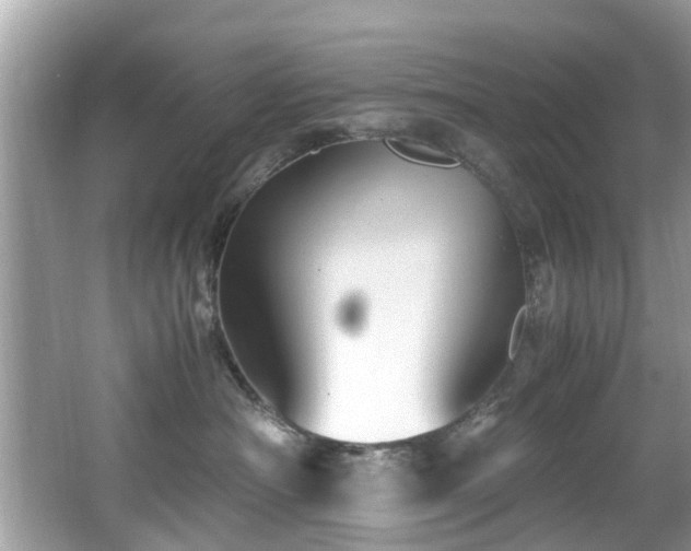 X0000067000430200603271345