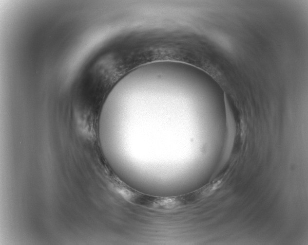 X0000067000431200603271345