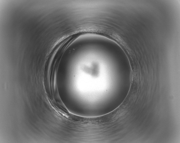 X0000067000434200603271344