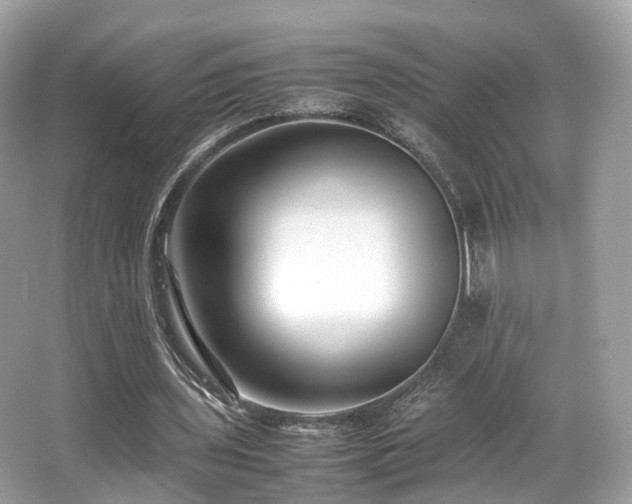 X0000067000435200603271344