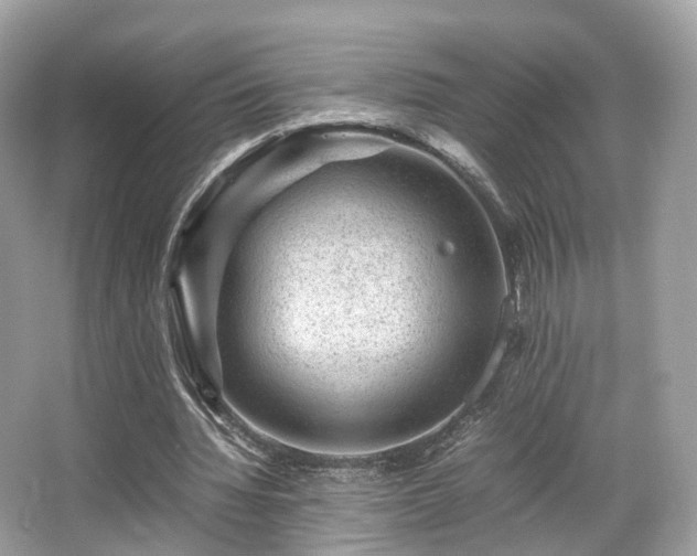 X0000067000436200603271344