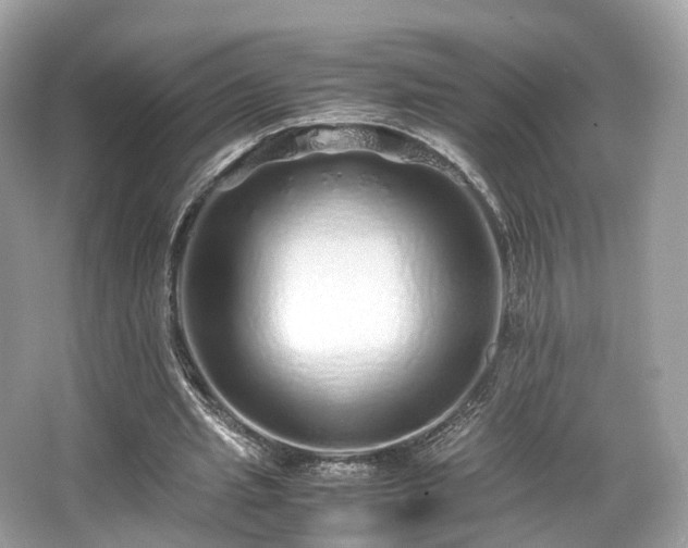 X0000067000437200603271344