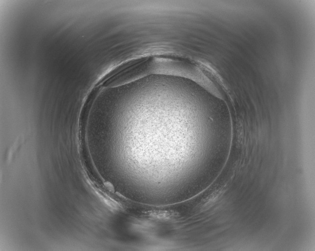 X0000067000439200603271344