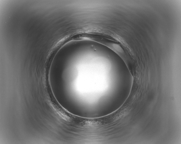 X0000067000442200603271344