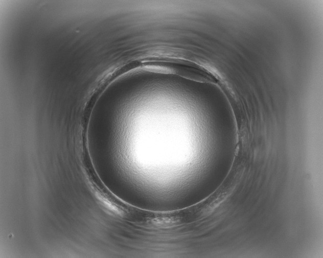 X0000067000445200603271344