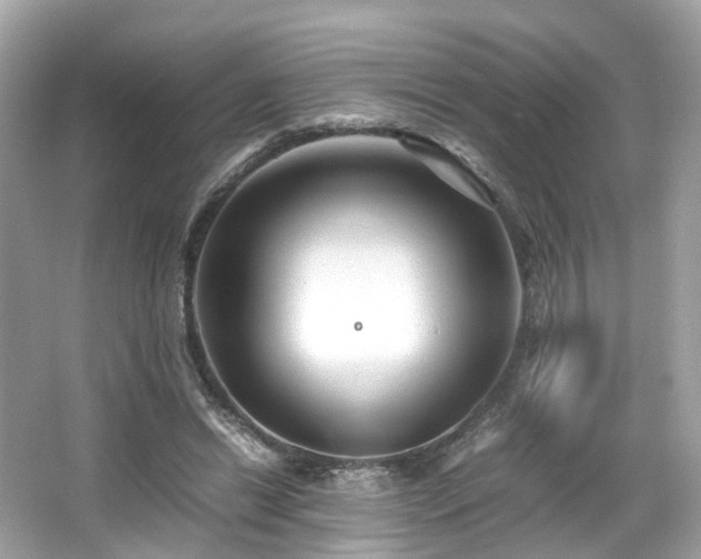 X0000067000446200603271344