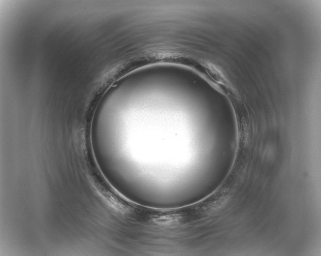 X0000067000447200603271344