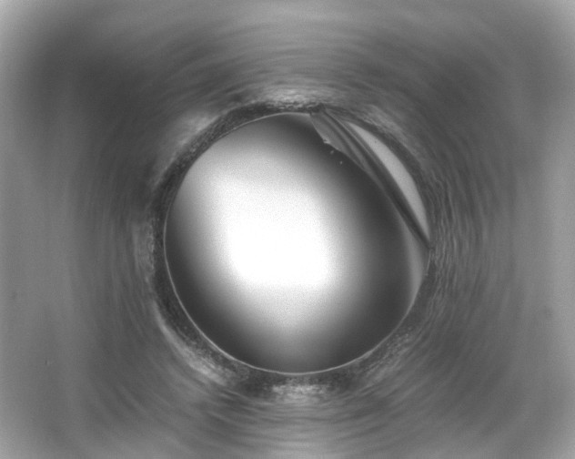X0000067000448200603271344