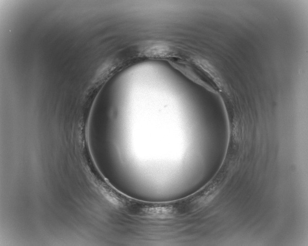 X0000067000449200603271344