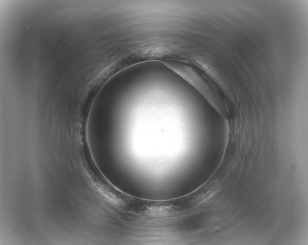 X0000067000450200603271344