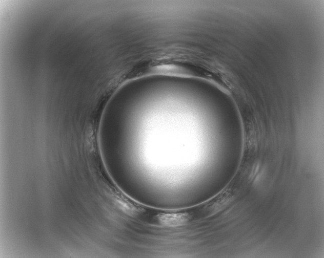 X0000067000465200603271345