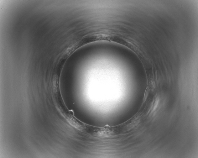 X0000067000468200603271345