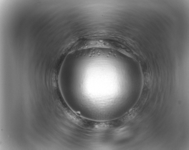 X0000067000470200603271345