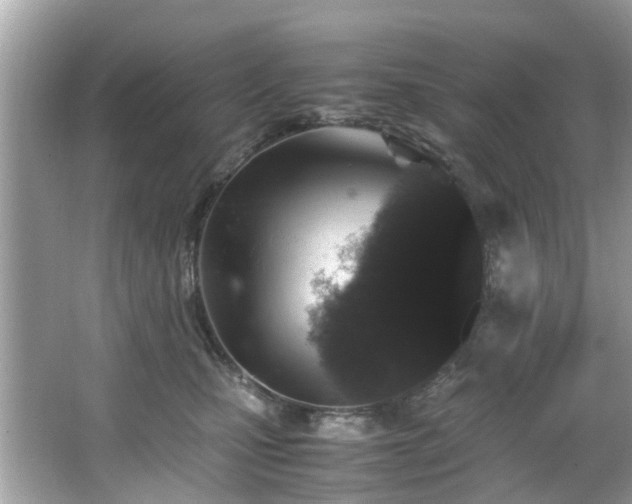 X0000067000471200603271345