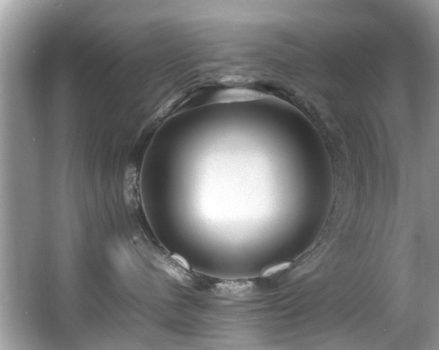 X0000067000480200603271345