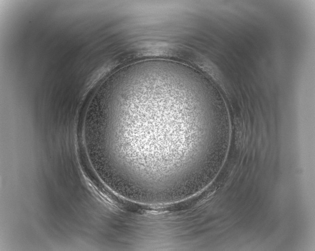 X0000067000482200603271344