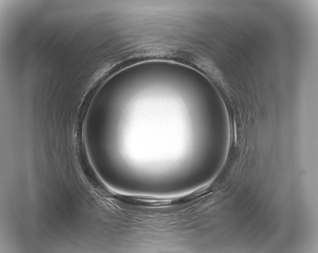 X0000067000483200603271344