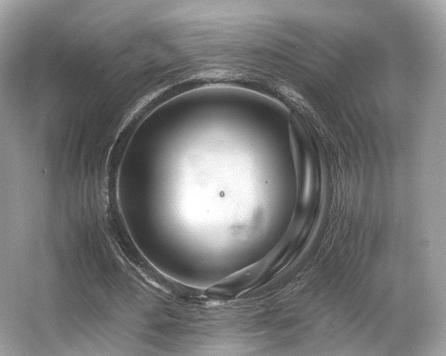 X0000067000484200603271344