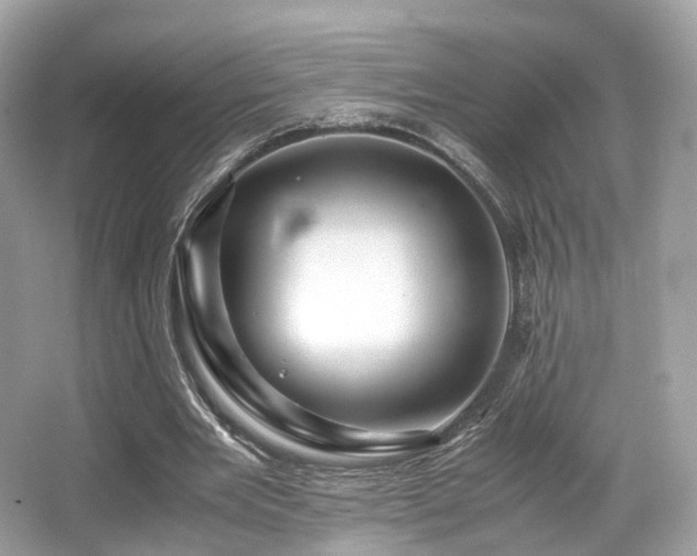X0000067000485200603271344