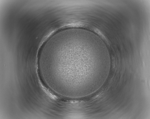 X0000067000486200603271344