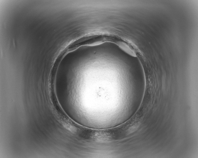 X0000067000487200603271344