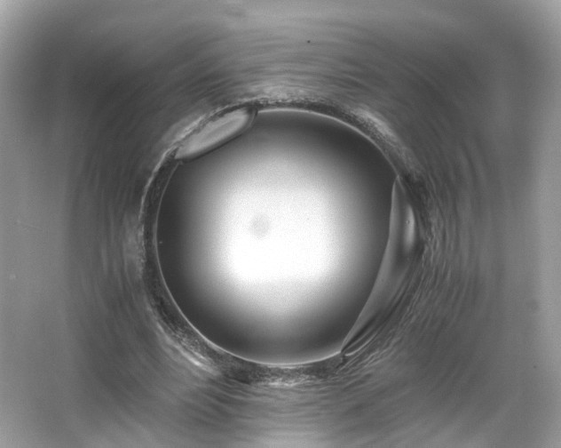X0000067000488200603271344