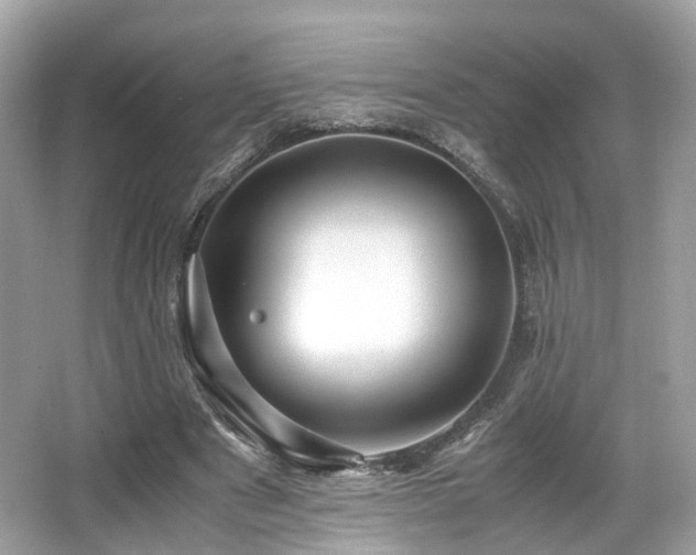 X0000067000489200603271344