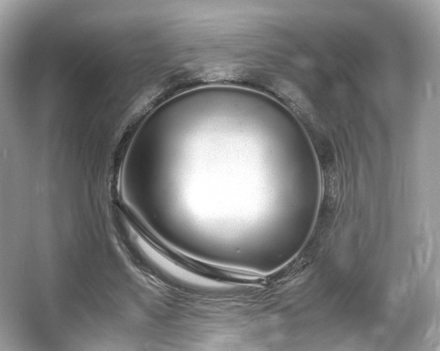 X0000067000491200603271344
