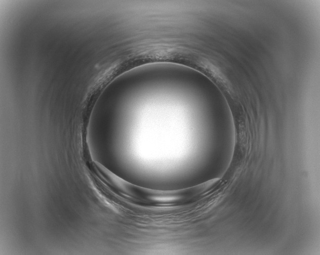 X0000067000493200603271344