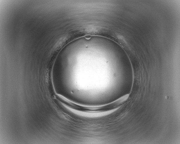 X0000067000495200603271344
