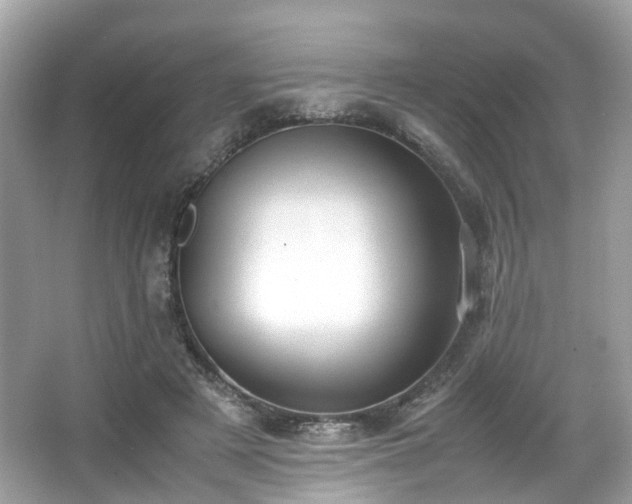X0000067000497200603271344