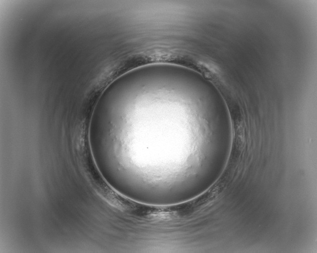 X0000067000499200603271344