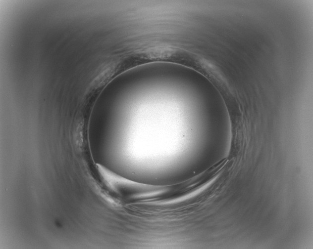 X0000067000501200603271344