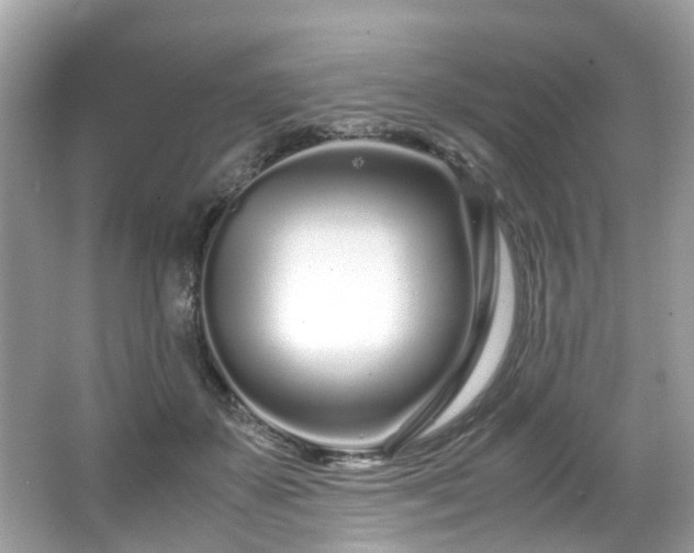 X0000067000507200603271344