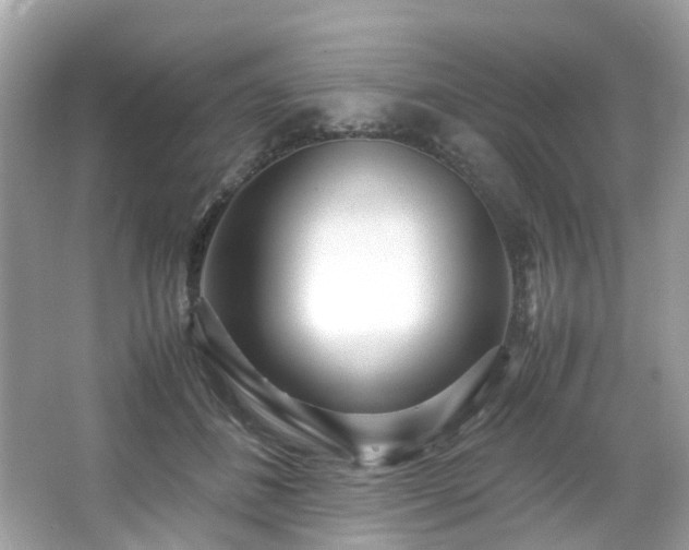 X0000067000508200603271344