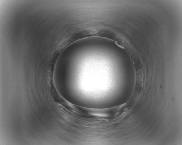 X0000067000509200603271344