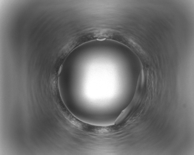 X0000067000513200603271343