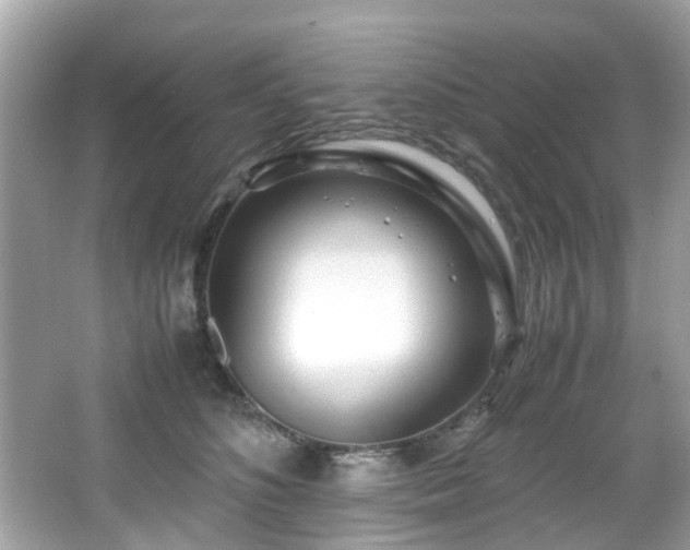 X0000067000516200603271343
