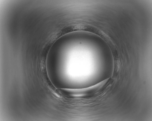 X0000067000517200603271343