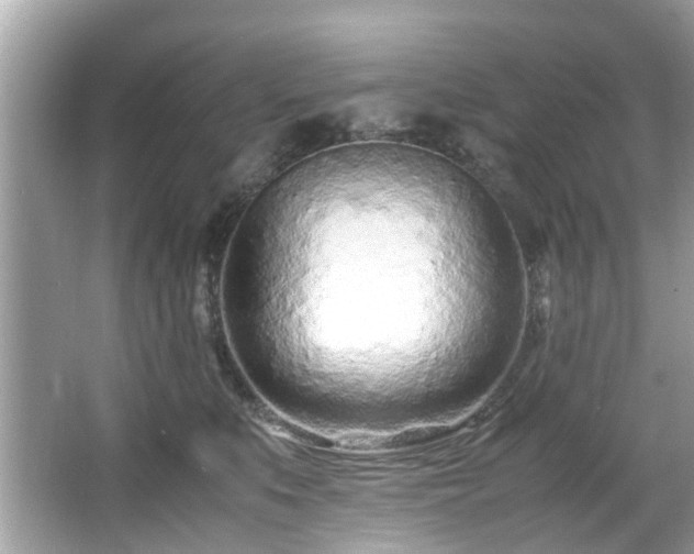X0000067000519200603271343