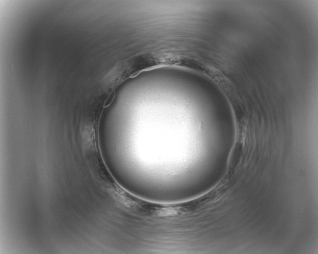 X0000067000523200603271343