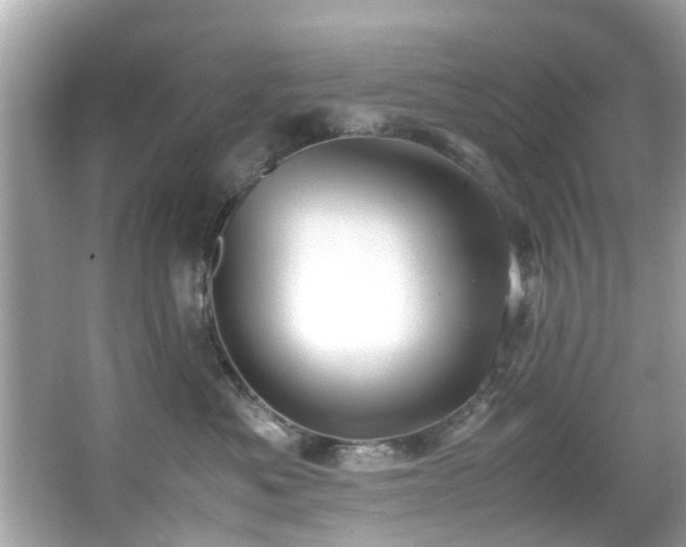 X0000067000525200603271343