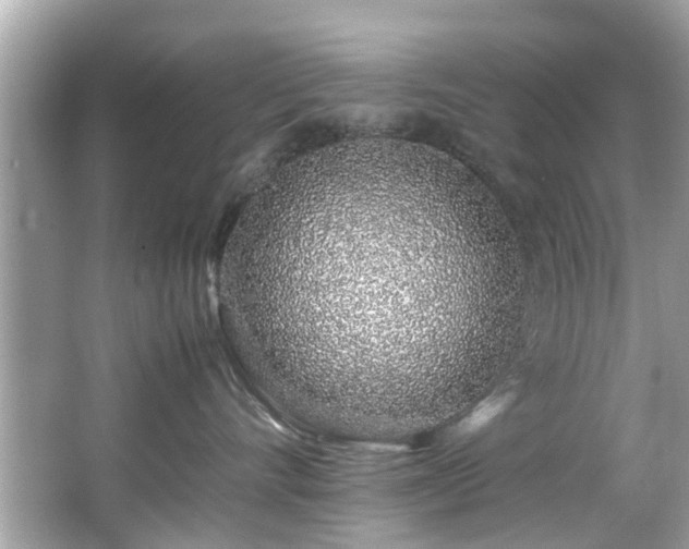 X0000067000528200603271343